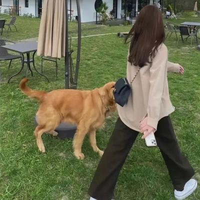 偕老